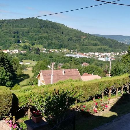 Gite De Bellevue Maison Traditionnelle Vosgienne Plainfaing Zewnętrze zdjęcie