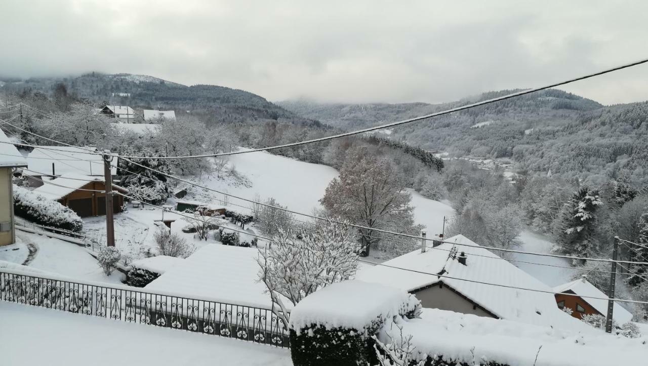 Gite De Bellevue Maison Traditionnelle Vosgienne Plainfaing Zewnętrze zdjęcie